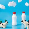 two black-and-white dairy cows looking on white bottles